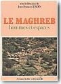 Nations et r�gions: vers une nouvelle structuration de l'espace au Maghreb